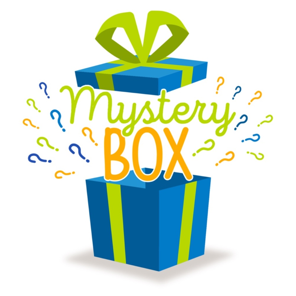 Chico's lot clothing minimum 4 items mystery box